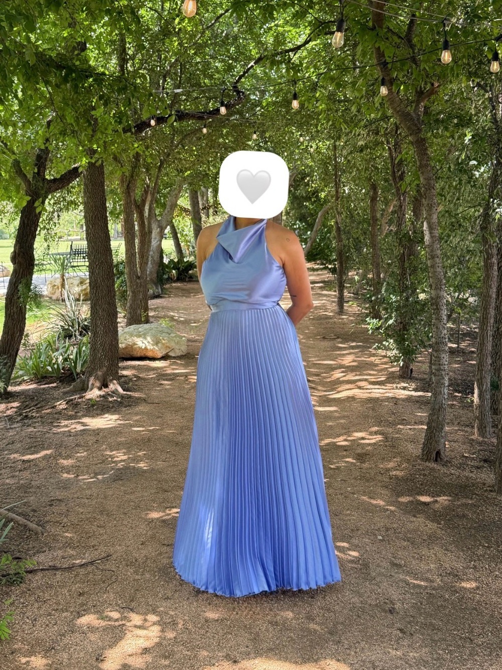 Betsey & Adam Cowl Neck Haltwr Pleated Maxi Dress in Periwinkle Blue